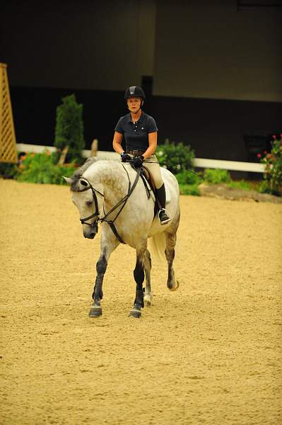 USHJA-Derby-8-19-10-Schooling-DER_6717-DDeRosaPhoto.JPG