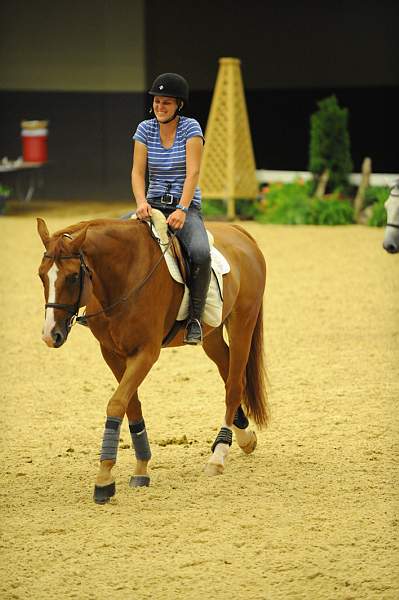 USHJA-Derby-8-19-10-Schooling-DER_6766-DDeRosaPhoto.JPG