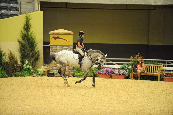 USHJA-Derby-8-19-10-Schooling-DER_6786-DDeRosaPhoto.JPG