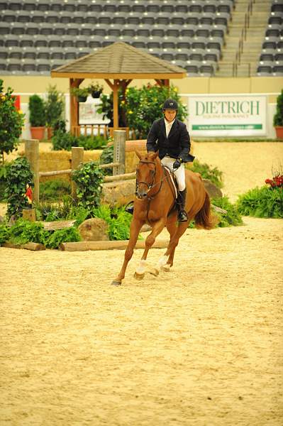 USHJA-Derby-8-20-10-DER_7563-QRnd1-DueWest-ShaneSweetnam-DDeRosaPhoto.jpg