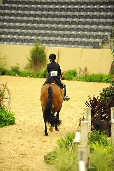 USHJA-Derby-8-20-10-DER_7602-QRnd1-Lavasco-PaigeBrodbeck-DDeRosaPhoto.jpg