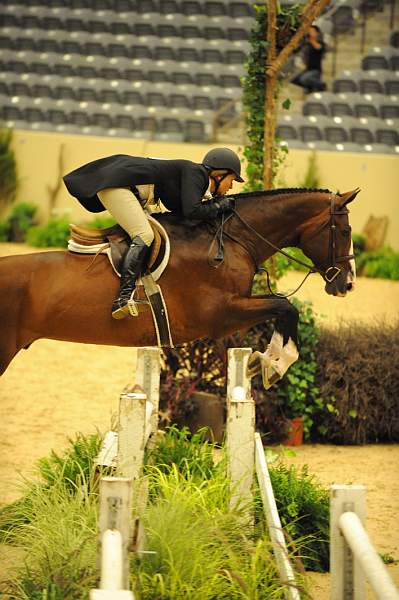 USHJA-Derby-8-20-10-DER_7642-QRnd1-Valient-TammyProvost-DDeRosaPhoto.jpg