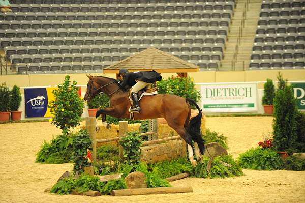 USHJA-Derby-8-20-10-DER_7644-QRnd1-Valient-TammyProvost-DDeRosaPhoto.jpg