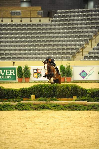 USHJA-Derby-8-20-10-DER_7654-QRnd1-Valient-TammyProvost-DDeRosaPhoto.jpg