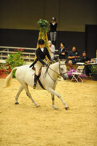USHJA-Derby-8-20-10-DER_7805-QRnd1-Eastwood-KellyTropin-DDeRosaPhoto.jpg