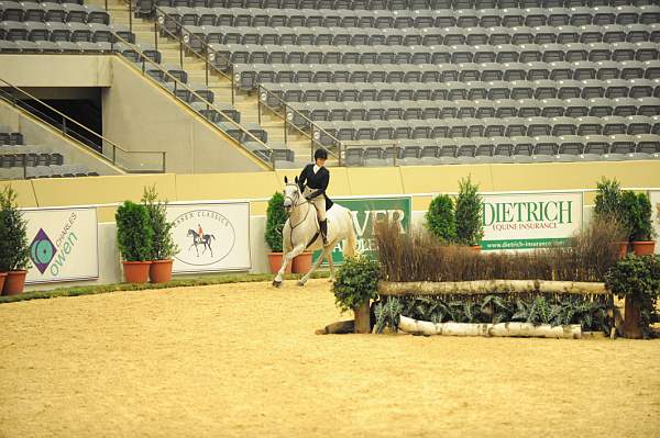 USHJA-Derby-8-20-10-DER_7807-QRnd1-Eastwood-KellyTropin-DDeRosaPhoto.jpg