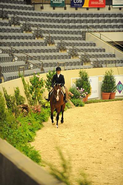 USHJA-Derby-8-20-10-DER_7848-QRnd1-Accord-KirstieDobbs-DDeRosaPhoto.jpg