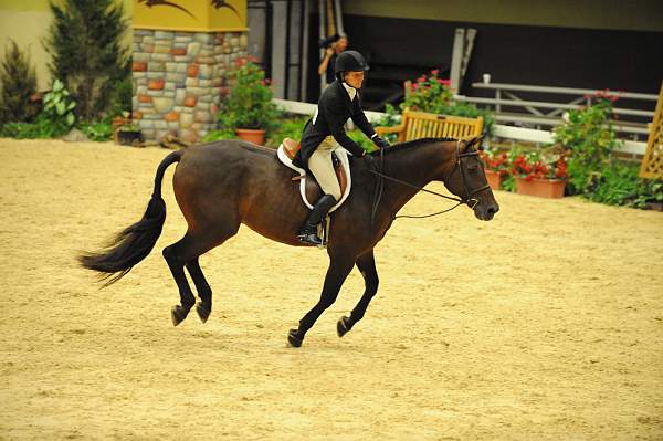 USHJA-Derby-8-20-10-DER_7876-QRnd1-TimberRidge-KelleyFarmer-DDeRosaPhoto.jpg