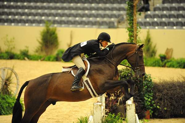 USHJA-Derby-8-20-10-DER_7900-QRnd1-TimberRidge-KelleyFarmer-DDeRosaPhoto.jpg
