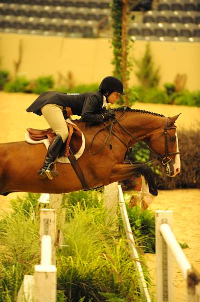 USHJA-Derby-8-20-10-DER_7988-QRnd1-Onassis-SarahWard-DDeRosaPhoto.jpg