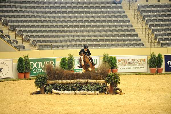 USHJA-Derby-8-20-10-DER_7990-QRnd1-Onassis-SarahWard-DDeRosaPhoto.jpg