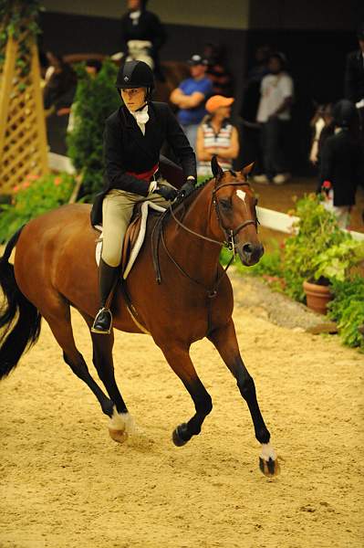 USHJA-Derby-8-20-10-DER_8016-QRnd1-BestMan-MelissaDoddridge-DDeRosaPhoto.jpg