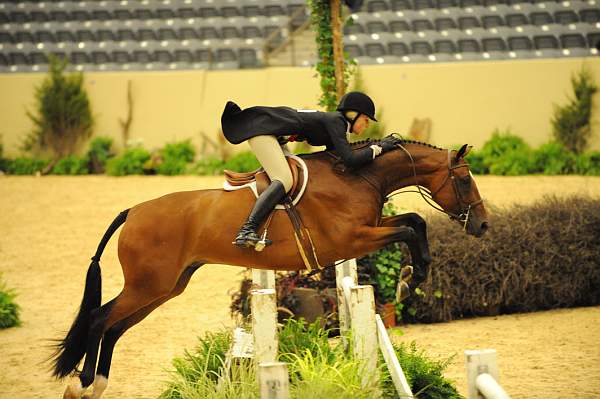USHJA-Derby-8-20-10-DER_8030-QRnd1-BestMan-MelissaDoddridge-DDeRosaPhoto.jpg
