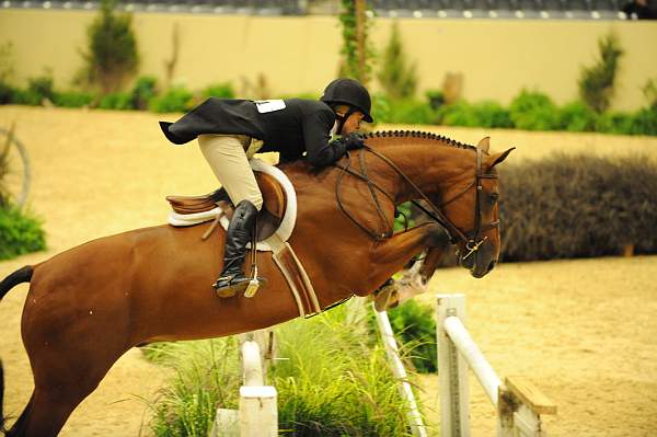 USHJA-Derby-8-20-10-DER_8041-QRnd1-BasesLoaded-KelleyFarmer-DDeRosaPhoto.jpg