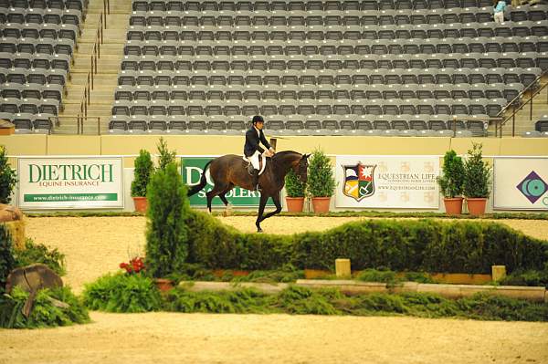 USHJA-Derby-8-20-10-DER_8144-QRnd1-Blackstone-TomBrennan-DDeRosaPhoto.jpg