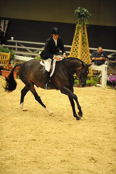 USHJA-Derby-8-20-10-DER_8148-QRnd1-Blackstone-TomBrennan-DDeRosaPhoto.jpg