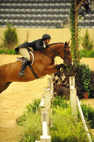 USHJA-Derby-8-20-10-DER_8246-QRnd1-CR Haribo-ColleenAcosta-DDeRosaPhoto.jpg