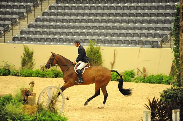 USHJA-Derby-8-20-10-DER_8261-QRnd1-Lonestar-HuntTosh-DDeRosaPhoto.jpg