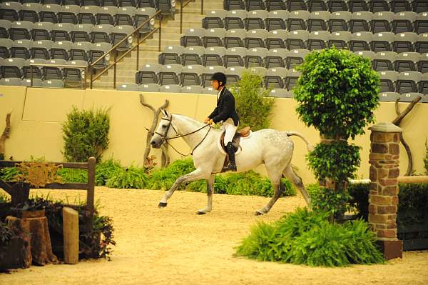 USHJA-Derby-8-20-10-DER_8306-QRnd1-C.Quito-JohnFrench-DDeRosaPhoto.jpg
