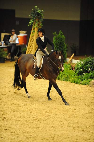 USHJA-Derby-8-20-10-DER_8347-QRnd1-DailyDevotion-JessicaWarren-DDeRosaPhoto.jpg