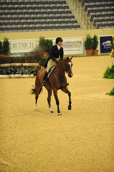 USHJA-Derby-8-20-10-DER_8373-QRnd1-Primera-CatherineRinehart-DDeRosaPhoto.jpg