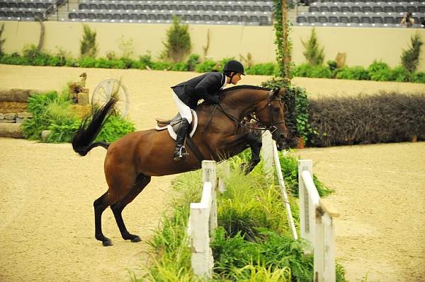 USHJA-Derby-8-20-10-DER_8389-QRnd1-DDeRosaPhoto.jpg