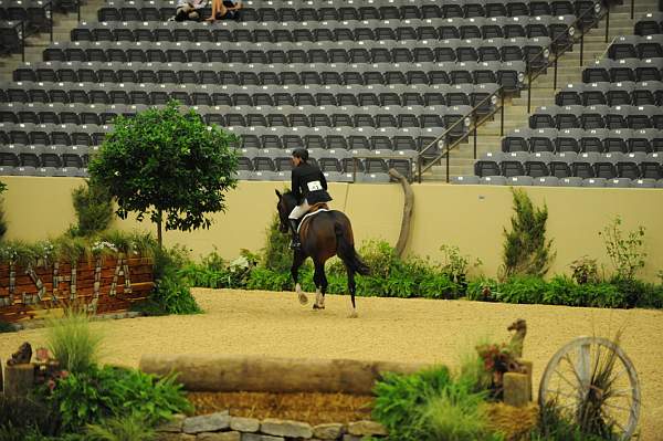 USHJA-Derby-8-20-10-DER_8418-QRnd1-Declaration-ScottStewart-DDeRosaPhoto.jpg