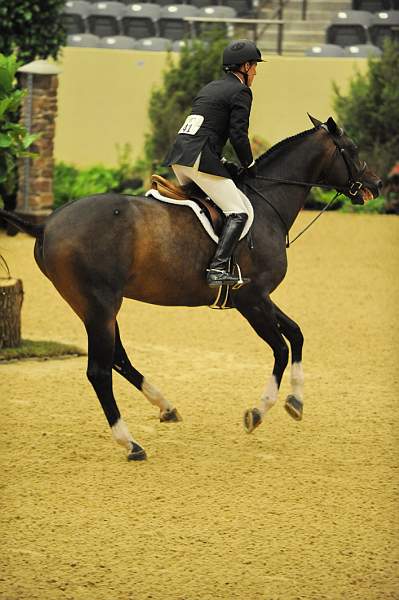 USHJA-Derby-8-20-10-DER_8425-QRnd1-Declaration-ScottStewart-DDeRosaPhoto.jpg