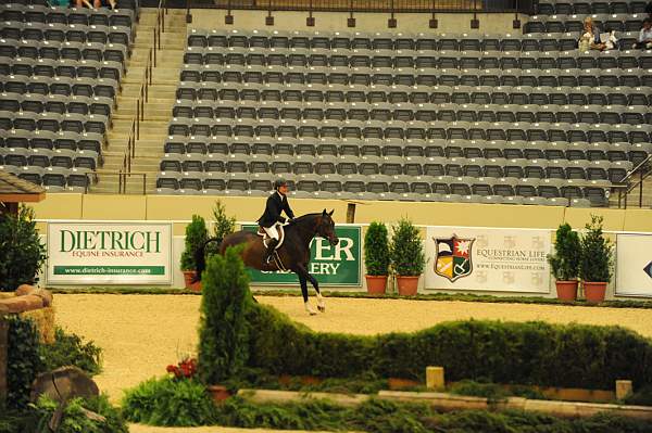 USHJA-Derby-8-20-10-DER_8428-QRnd1-Declaration-ScottStewart-DDeRosaPhoto.jpg
