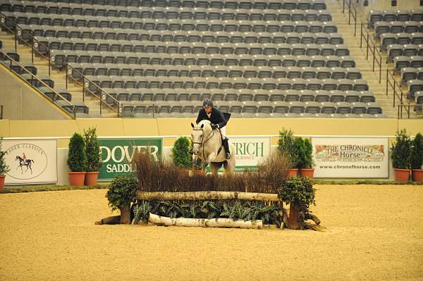 USHJA-Derby-8-20-10-DER_8467-QRnd1-RextheWonderHorse-RichardRhinehart-DDeRosaPhoto.jpg