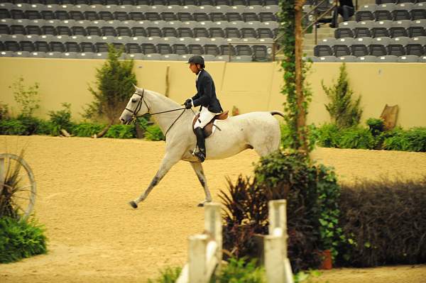 USHJA-Derby-8-20-10-DER_8471-QRnd1-RextheWonderHorse-RichardRhinehart-DDeRosaPhoto.jpg