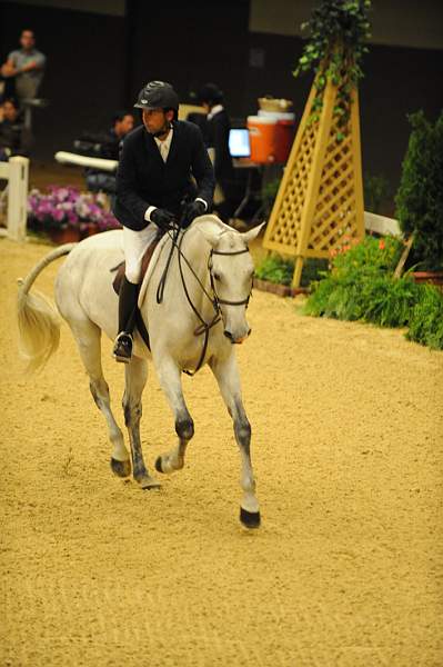 USHJA-Derby-8-20-10-DER_8474-QRnd1-RextheWonderHorse-RichardRhinehart-DDeRosaPhoto.jpg