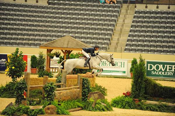 USHJA-Derby-8-20-10-DER_8477-QRnd1-RextheWonderHorse-RichardRhinehart-DDeRosaPhoto.jpg