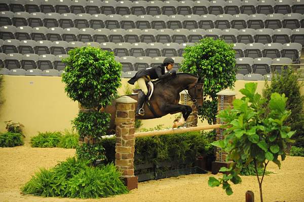 USHJA-Derby-8-20-10-DER_8523-QRnd1-Apparition-JordanSiegel-DDeRosaPhoto.jpg