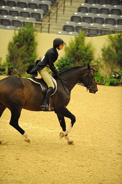 USHJA-Derby-8-20-10-DER_8537-QRnd1-Apparition-JordanSiegel-DDeRosaPhoto.jpg