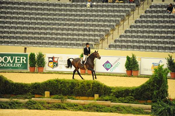 USHJA-Derby-8-20-10-DER_8633-QRnd1-CrownAffair-JohnFrench-DDeRosaPhoto.jpg