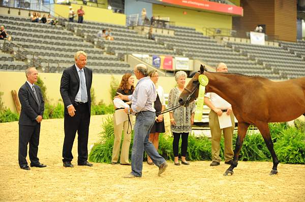 USHJA-Derby-8-20-10-DER_9090-QRnd1-Castello-JackHowell-DDeRosaPhoto.jpg