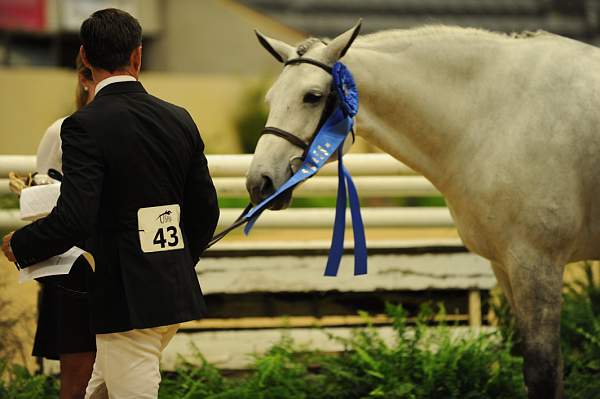 USHJA-Derby-8-20-10-DER_9190-QRnd1-SummerPlace-ScottStewart-DDeRosaPhoto.jpg