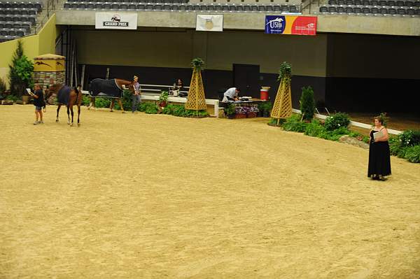 USHJA-Derby-8-21-10-CrseWk-Parade-DER_9362-DDeRosaPhoto.jpg