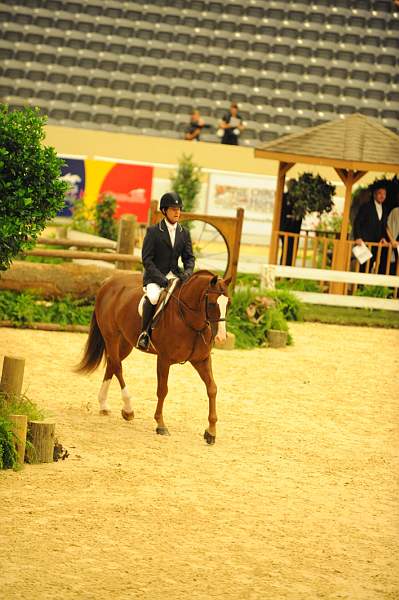 USHJA-Derby-8-21-10-CrseWk-Parade-DER_9406-DDeRosaPhoto.jpg