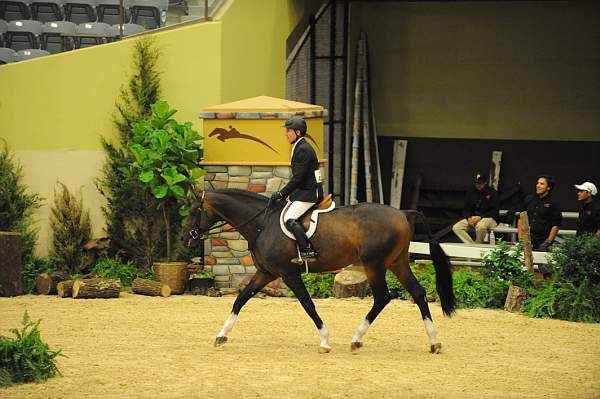 USHJA-Derby-8-21-10-CrseWk-Parade-DER_9415-DDeRosaPhoto.jpg