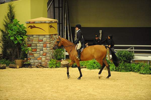 USHJA-Derby-8-21-10-CrseWk-Parade-DER_9425-DDeRosaPhoto.jpg