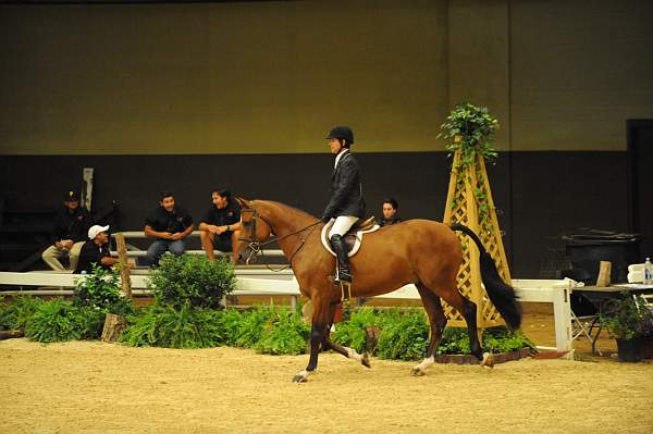 USHJA-Derby-8-21-10-CrseWk-Parade-DER_9434-DDeRosaPhoto.jpg