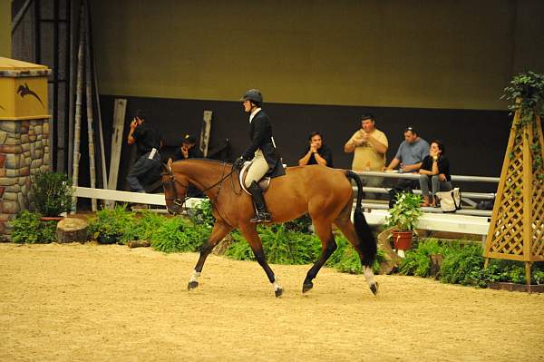 USHJA-Derby-8-21-10-CrseWk-Parade-DER_9462-DDeRosaPhoto.jpg