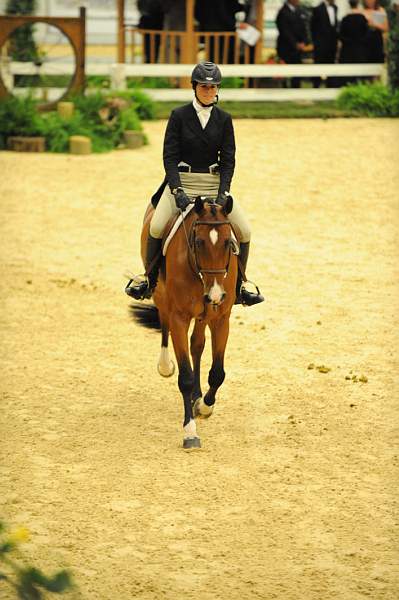 USHJA-Derby-8-21-10-CrseWk-Parade-DER_9475-DDeRosaPhoto.jpg