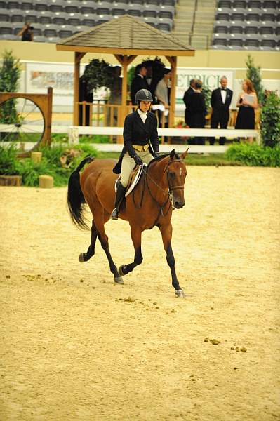 USHJA-Derby-8-21-10-CrseWk-Parade-DER_9489-DDeRosaPhoto.jpg