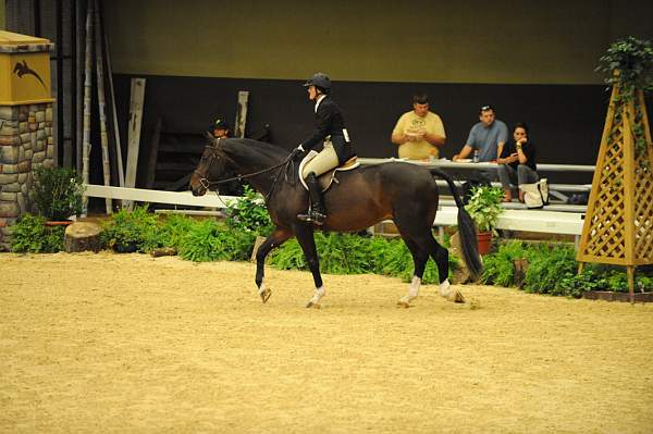USHJA-Derby-8-21-10-CrseWk-Parade-DER_9492-DDeRosaPhoto.jpg