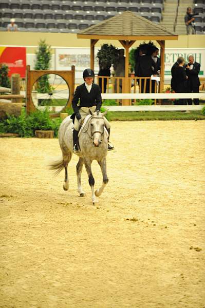 USHJA-Derby-8-21-10-CrseWk-Parade-DER_9521-DDeRosaPhoto.jpg
