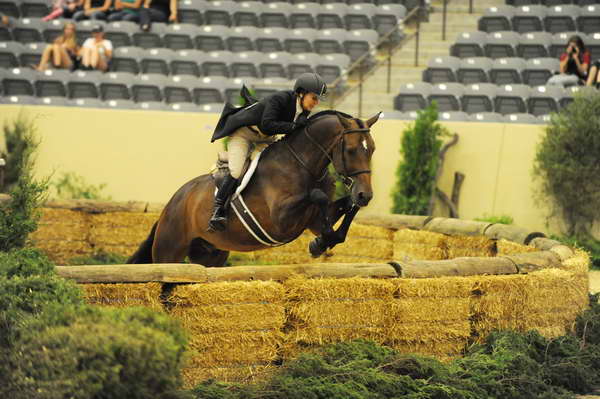 USHJA-Derby-8-21-10-Rnd2-DER1_9559-RockStar-LouisSerio-DDeRosaPhoto.jpg