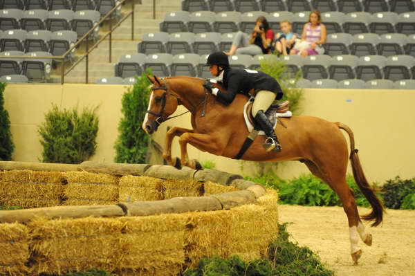 USHJA-Derby-8-21-10-Rnd2-DER1_9616-JerseyBoy-JenniferAlfano-DDeRosaPhoto.jpg